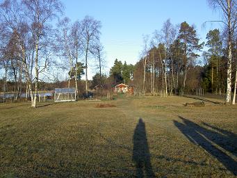 Julafton 2004. Vintern 2004-2005 var förödande för mina växter. Snön kom sent och en mild februari fick buskar att börja växa. Omslaget till kall mars tog sedan död på alla unga skott.