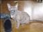 laisa86